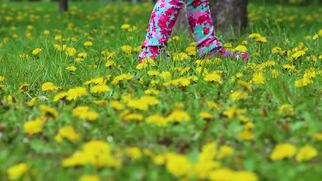 Cute little girl in green urban park on spring day making bouquet of flowers. Beautiful child carefully walks among yellow spring dandelions and picks them.