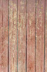Obraz premium Texture of old wood