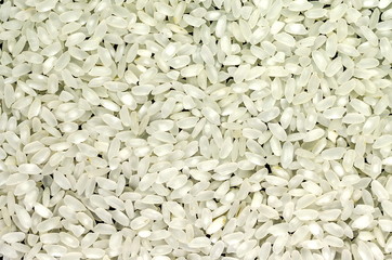 Texture of rice grains for background.