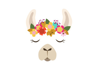 cute llama-alpaca head illustration