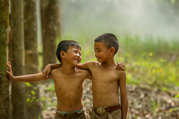 Children's in green nature in agricultural areas.Asia children in the forest at countryside.