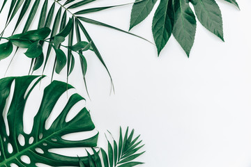Fototapeta na wymiar Flat lay trendy Tropical summer background, fern leaves set in the frame around blank space for a text