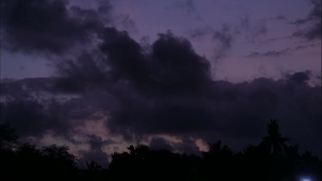 Clouds and palm trees at night, time lapse, Palawan, Philippines