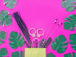 Different sex toys are in a green paper shopping bag. There are scattered leaves of tropical plants. The background is fuchsia. The image is suitable for advertising and promoting a sex shop