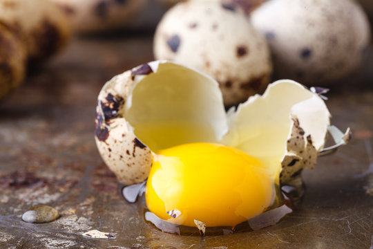 Egg Yolk In Brocken Quail Eggs On Rustic Table