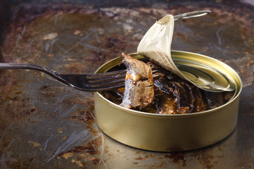 fish can with small fishes in oil