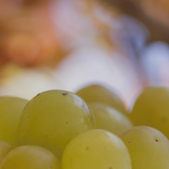 abstract grapes close up