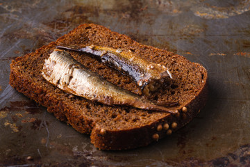 Sprat on a piece of black bread. Fish with bread
