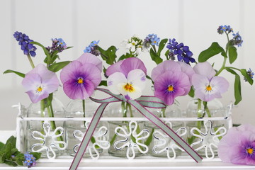 florale Dekoration mit lila Hornveilchen in Glasflaschen