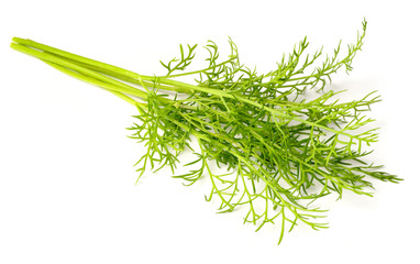 closeup of fresh dill weed isolated on white
