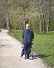 Man with baby stroller walks in spring park at morning