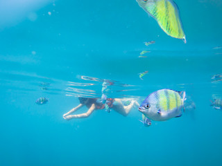 Tourist snorkeling with sergeant fish in the blue thai sea near Ko Ngai, Ko Lanta, Thailand