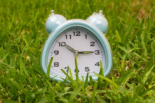 clock on grass , business concept