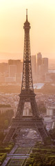 Paris Eiffel Tower Panorama