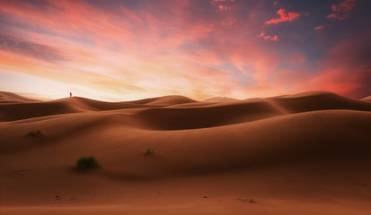Fototapeta na wymiar Paseo al atardecer en el desierto