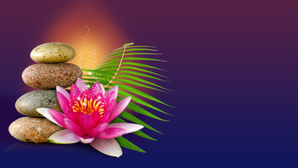 Obraz na płótnie Canvas image of lotus flower and stones close-up
