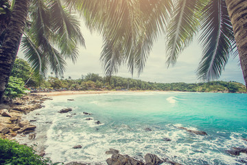 Fototapeta na wymiar Coconut palm trees, beautiful tropical background, vintage filter