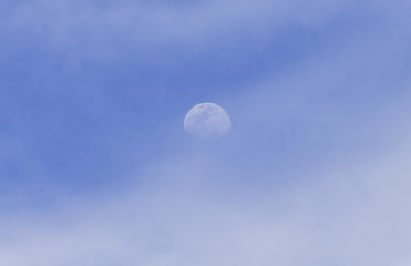 day half moon on the blue sky - obrazy, fototapety, plakaty