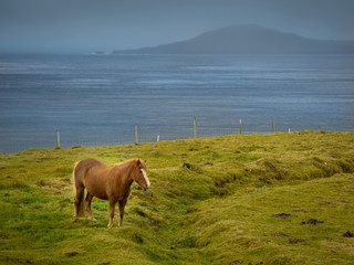 Färöer Inseln - Streymoy mit Blick auf Hestur