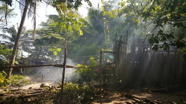 Morning dew in small village at Puerto Princesa