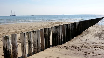 Wellenbrecher am Nordseestrand, verwitterte Holzst&auml;mme