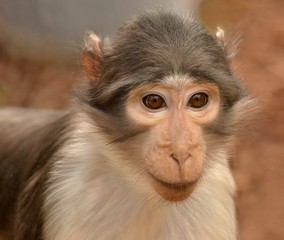 douceur dans le regard