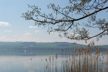 Idylle am See
