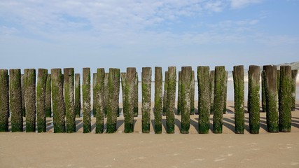 Fototapeta premium Wellenbrecher am Nordseestrand, verwitterte Holzstämme