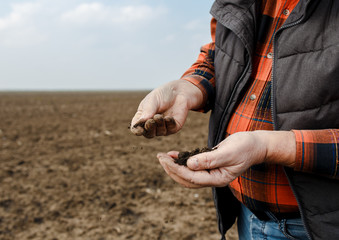 Senior farmer in field holding and examining soil in his hands.