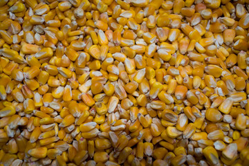 wallpaper corn
