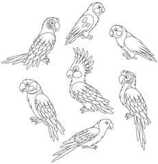 Collection of amusing tropical parrots, black and white vector illustrations in a cartoon style for a coloring book © Alexey Bannykh