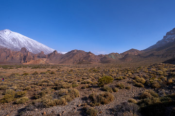 The beautiful view to volcanic lava and sandstone with grass on the Teide Volcano