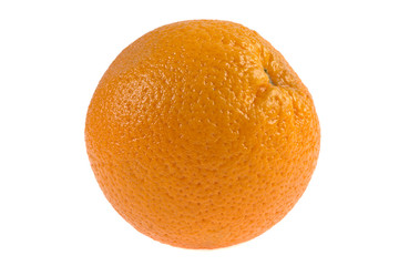 orange on white background