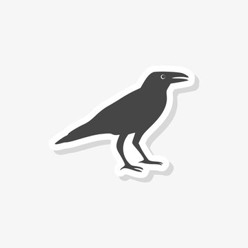 Crow vector illustration design sticker, Crow silhouette, simple vector icon