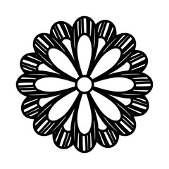 delicate flower nature bloom image vector illustration outline
