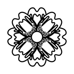 delicate flower nature bloom image vector illustration outline