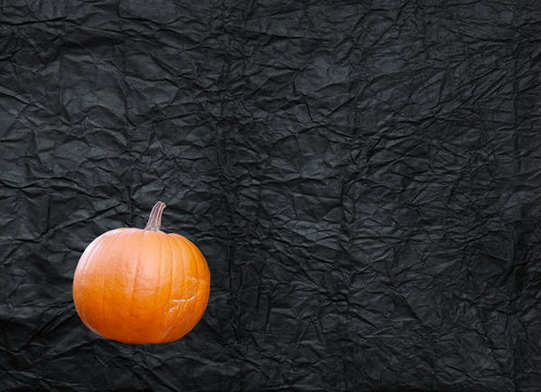 isolated orange pumpkin