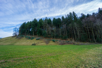 Germany, Edge of the forest landscape behind green nature meadow in springtime