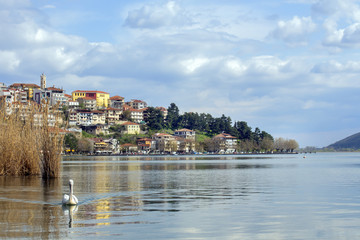 Obraz premium Landscape of the city of Kastoria from Lake Orestiada, Greece. With a pelican.