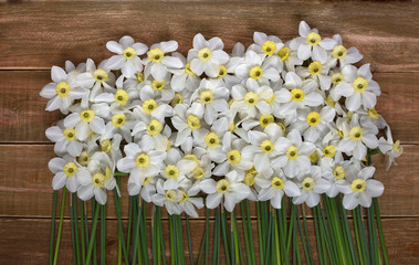Close up of fresh narcissus on a wooden table. Spring and celebration concept background. 