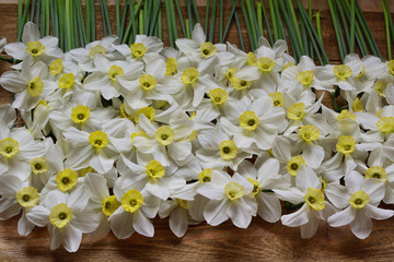 Close up of big bouquet of fresh narcissus on a wooden table. Spring and celebration concept background. 