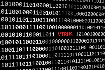 binary code and virus text