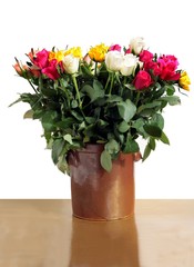 bouquet of pretty roses