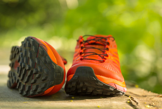 Close up of a pair of colorful trail running shoes in the forest. Shallow D.O.F.