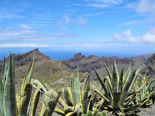 Canary Island, Tenerife 