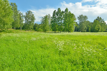 The natural landscape in the spring.