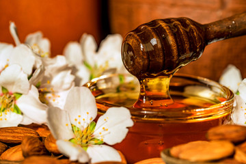Fototapeta na wymiar Almond honey, nuts and white flowers close