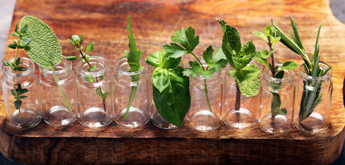 Homegrown and aromatic herbs in glass