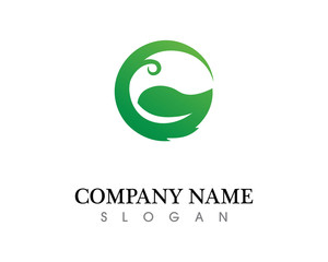 Tree leaf vector logo design, eco-friendly concept.