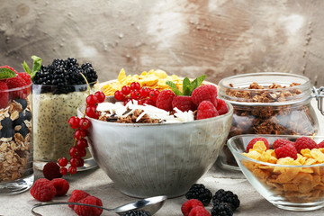 Cereal and ingredients for a healthy breakfast with chia pudding, granola, cornflakes and berries